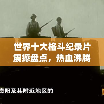 世界十大格斗纪录片震撼盘点，热血沸腾的战斗瞬间，你看过几部？