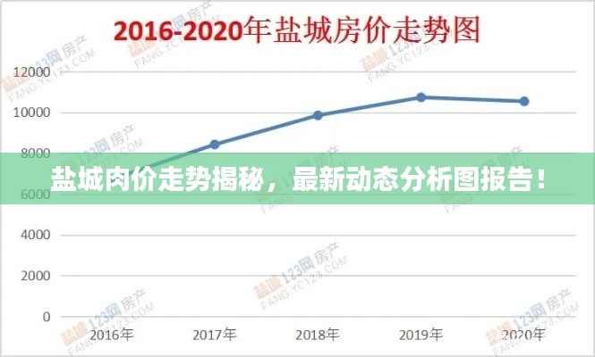 盐城肉价走势揭秘，最新动态分析图报告！