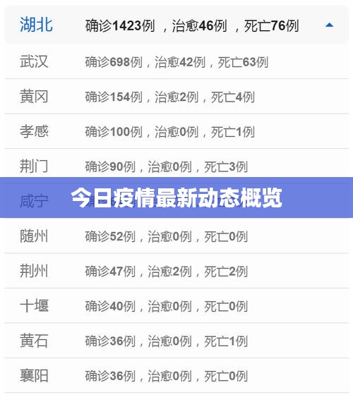 今日疫情最新动态概览