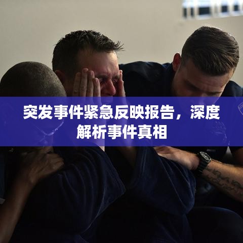 突发事件紧急反映报告，深度解析事件真相