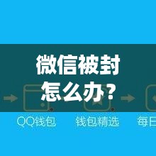 微信被封怎么办？百度教你解决之道！