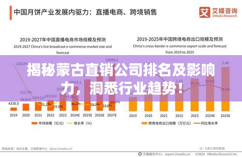 揭秘蒙古直销公司排名及影响力，洞悉行业趋势！