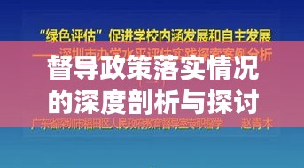 督导政策落实情况的深度剖析与探讨