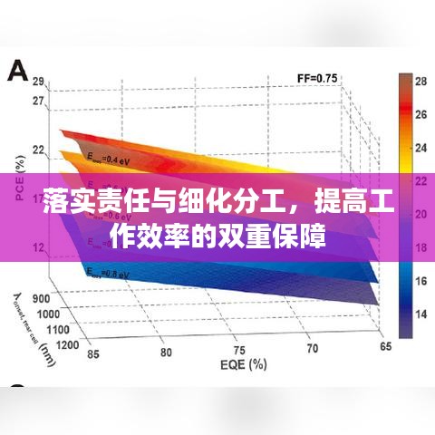 落实责任与细化分工，提高工作效率的双重保障