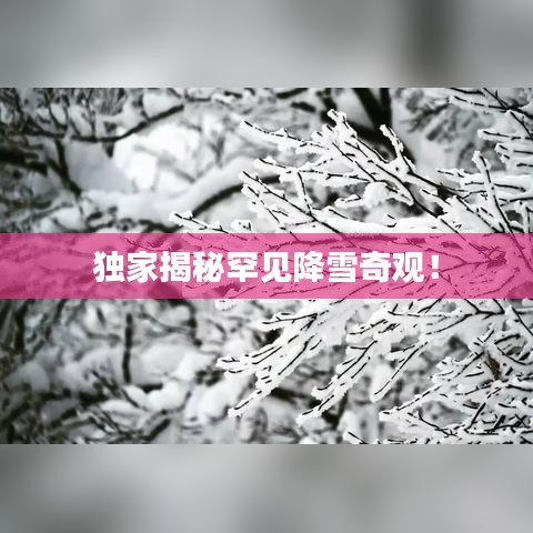 独家揭秘罕见降雪奇观！