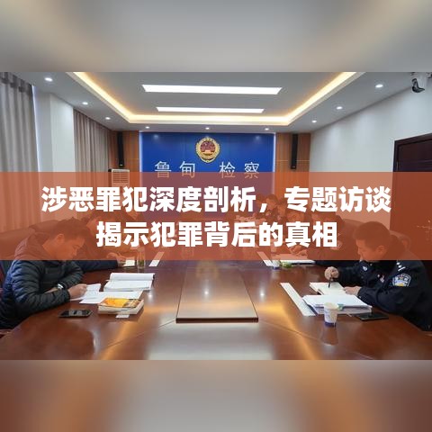 涉恶罪犯深度剖析，专题访谈揭示犯罪背后的真相