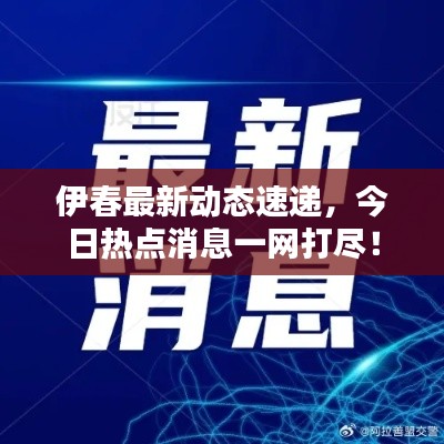 伊春最新动态速递，今日热点消息一网打尽！