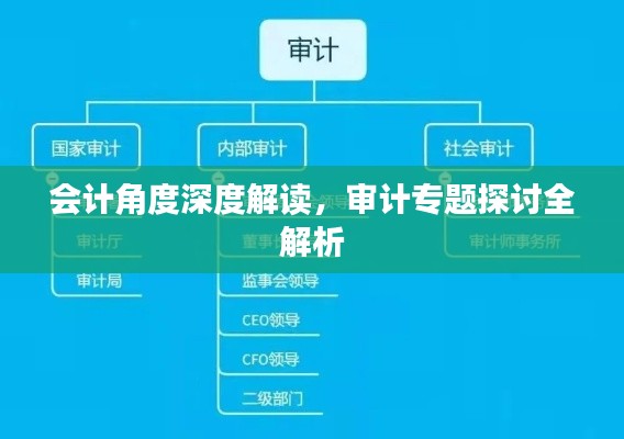 会计角度深度解读，审计专题探讨全解析