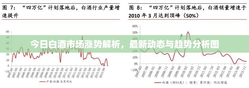 今日白酒市场涨势解析，最新动态与趋势分析图