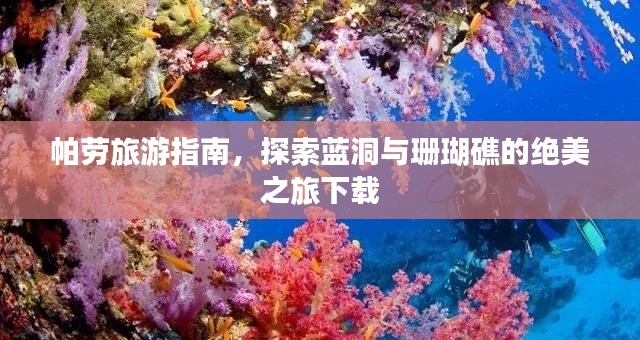 帕劳旅游指南，探索蓝洞与珊瑚礁的绝美之旅下载