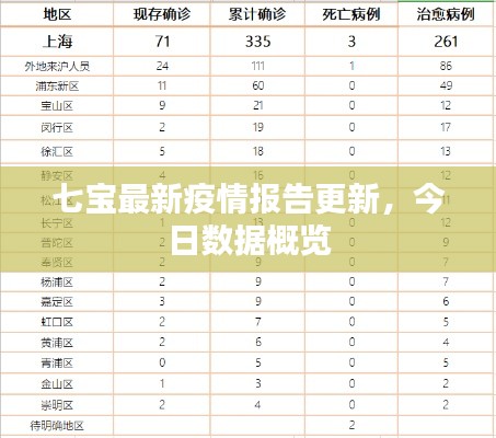 七宝最新疫情报告更新，今日数据概览