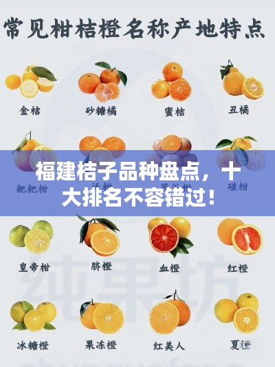 福建桔子品种盘点，十大排名不容错过！