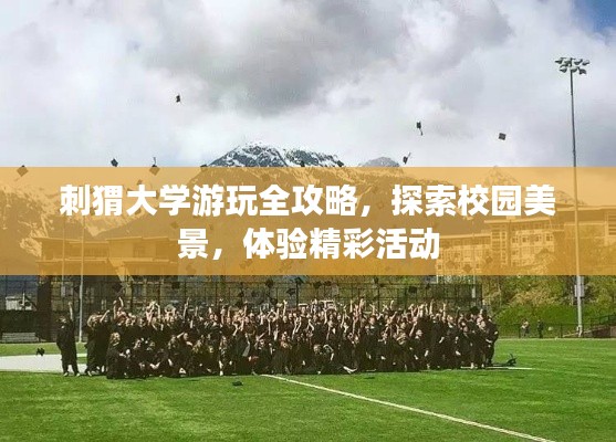 刺猬大学游玩全攻略，探索校园美景，体验精彩活动