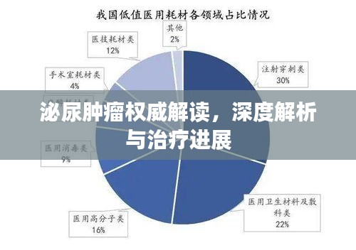 泌尿肿瘤权威解读，深度解析与治疗进展