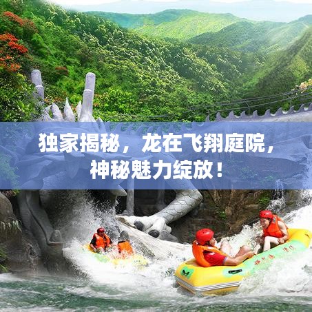 独家揭秘，龙在飞翔庭院，神秘魅力绽放！