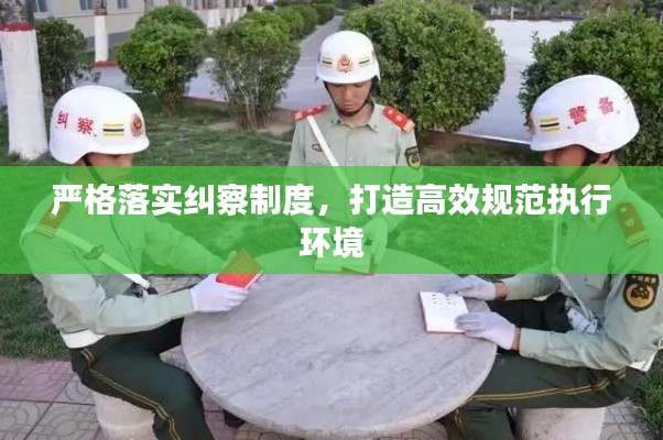 严格落实纠察制度，打造高效规范执行环境
