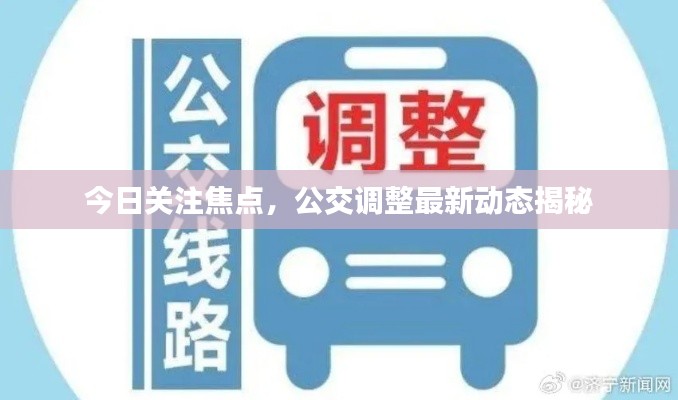 今日关注焦点，公交调整最新动态揭秘