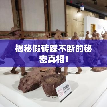 揭秘假砖踩不断的秘密真相！