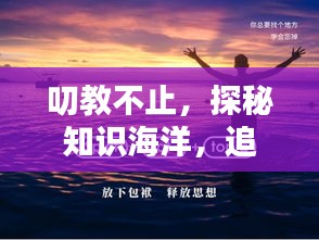 叨教不止，探秘知识海洋，追寻智慧之路