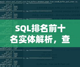 SQL排名前十名实体解析，查询方法与数据理解指南