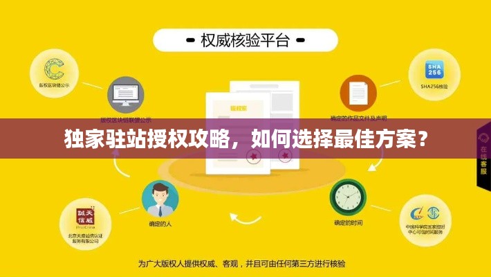 独家驻站授权攻略，如何选择最佳方案？