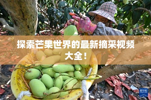 探索芒果世界的最新摘采视频大全！
