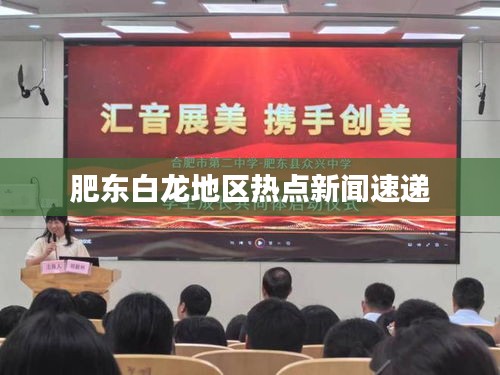 肥东白龙地区热点新闻速递