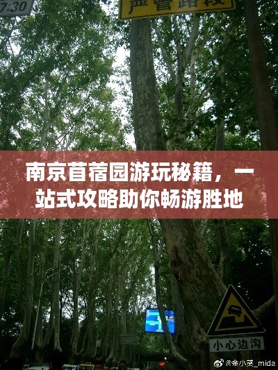 南京苜蓿园游玩秘籍，一站式攻略助你畅游胜地！