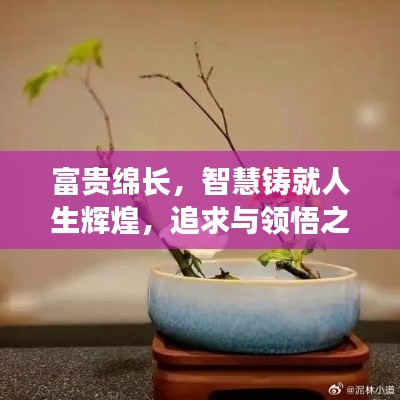 富贵绵长，智慧铸就人生辉煌，追求与领悟之道