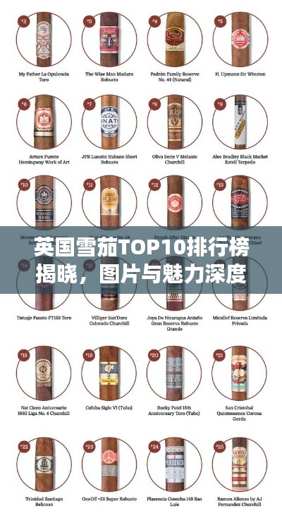 英国雪茄TOP10排行榜揭晓，图片与魅力深度解析