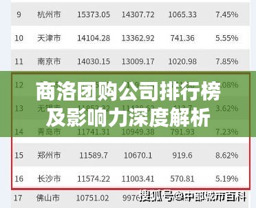 商洛团购公司排行榜及影响力深度解析