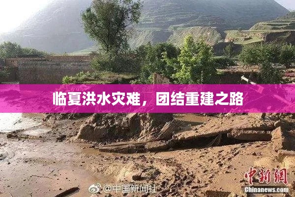 临夏洪水灾难，团结重建之路