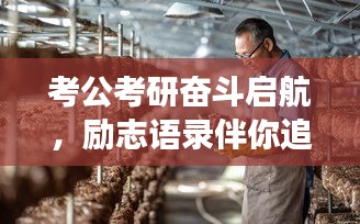 考公考研奋斗启航，励志语录伴你追梦之路
