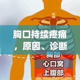 胸口持续疼痛，原因、诊断及治疗方法全解析