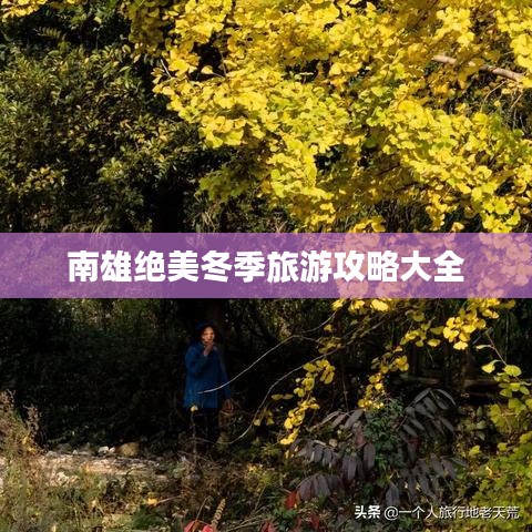 南雄绝美冬季旅游攻略大全