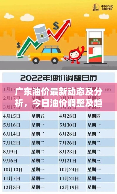 广东油价最新动态及分析，今日油价调整及趋势解读