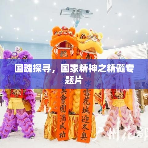 国魂探寻，国家精神之精髓专题片