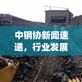 中钢协新闻速递，行业发展趋势深度解析，协会最新动态揭秘！