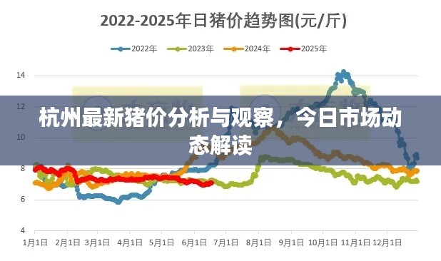 杭州最新猪价分析与观察，今日市场动态解读